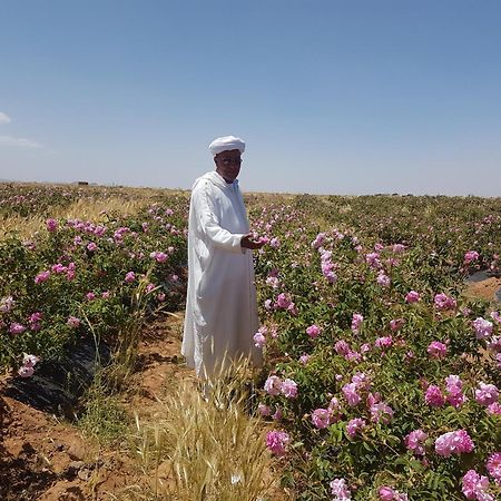 Hotel Kasbah Ait Kassi Boumalne Zewnętrze zdjęcie