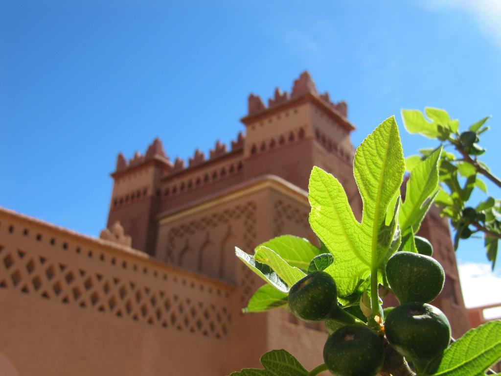 Hotel Kasbah Ait Kassi Boumalne Zewnętrze zdjęcie